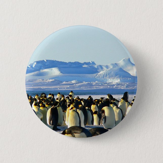 Bóton Redondo 5.08cm Pinguins imperadores (Frente)