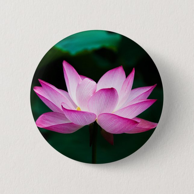 Bóton Redondo 5.08cm Pink Lotus Flower (Frente)
