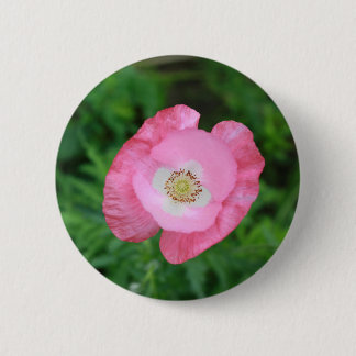 Bóton Redondo 5.08cm Pink Poppy