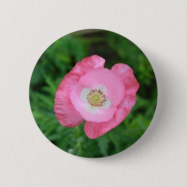 Bóton Redondo 5.08cm Pink Poppy (Frente)
