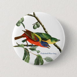 Bóton Redondo 5.08cm Pintado, Audubon, Birdwatcher Finch Bird,