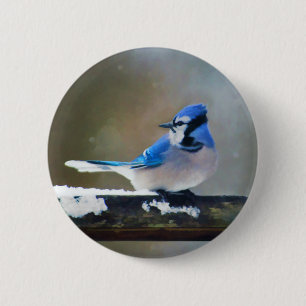 Bóton Redondo 5.08cm Pintura Blue Jay - Arte Original para Pássaros