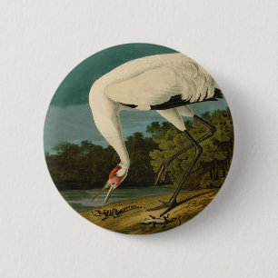 Bóton Redondo 5.08cm Pintura de pássaros Audubon Crane Whoping