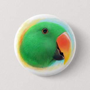 Bóton Redondo 5.08cm Pintura realística do papagaio verde do eclectus