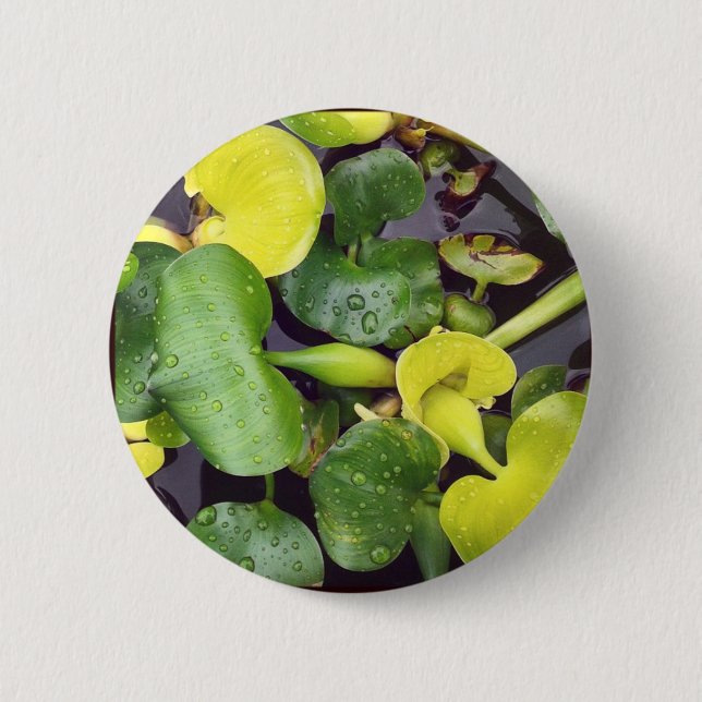 Bóton Redondo 5.08cm Plantas de amêndoas na mercearia (Frente)