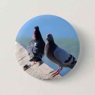 Bóton Redondo 5.08cm Pombo