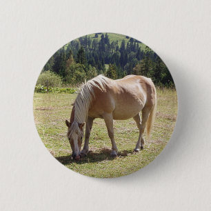 Bóton Redondo 5.08cm Pônei do Palomino de Haflinger na foto verde do