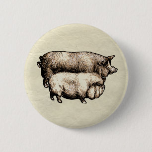 Bóton Redondo 5.08cm Porco Antigo da Fazenda Rústica Animais de Criação