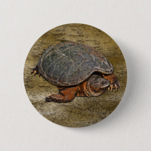 Bóton Redondo 5.08cm Presente para amante do Terrapin da Tartaruga