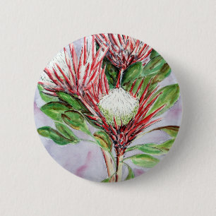 Bóton Redondo 5.08cm Proteas