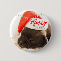 Pug Festivo no Red Santa Hat com Luzes de Natal
