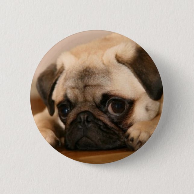 Bóton Redondo 5.08cm Pug "inocente" (Frente)