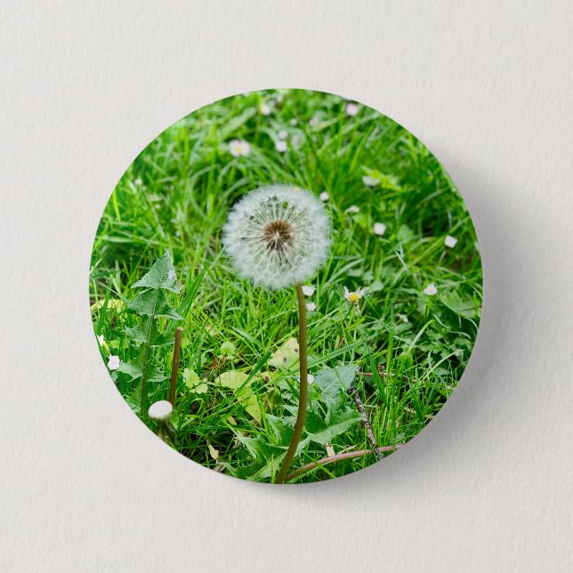 Bóton Redondo 5.08cm Pusteblume num pasto 1 (Frente)