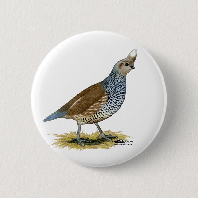Bóton Redondo 5.08cm Quail escalável (Frente)