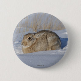 Bóton Redondo 5.08cm R5 Coelho Cottontail na Neve