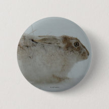 R7 Neve Hare Pronto para Executar