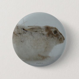 Bóton Redondo 5.08cm R7 Neve Hare Pronto para Executar