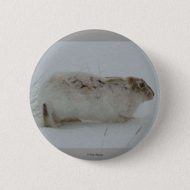 Bóton Redondo 5.08cm R7 Neve Hare Pronto para Executar (Frente)