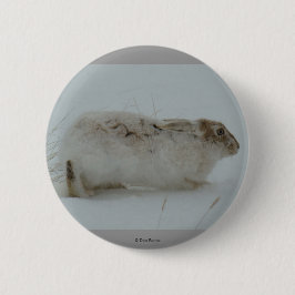 Bóton Redondo 5.08cm R7 Neve Hare Pronto para Executar