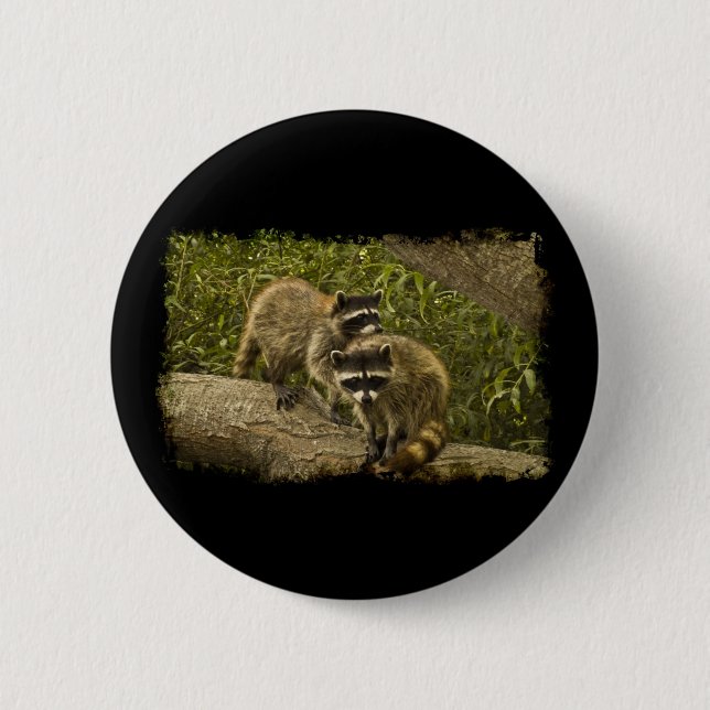 Bóton Redondo 5.08cm Raccoons (Frente)