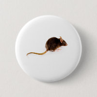 Rato de Brown