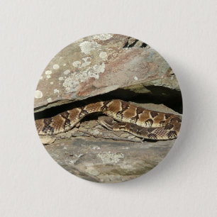 Bóton Redondo 5.08cm Rattlesnake no Parque Nacional de Shenandoah