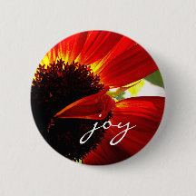 Red Gerbera Daisy Photo Joy Script Bold Modern