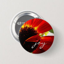 Red Gerbera Daisy Photo Joy Script Bold Modern
