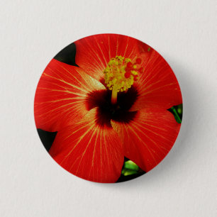 Bóton Redondo 5.08cm Red Hibiscus