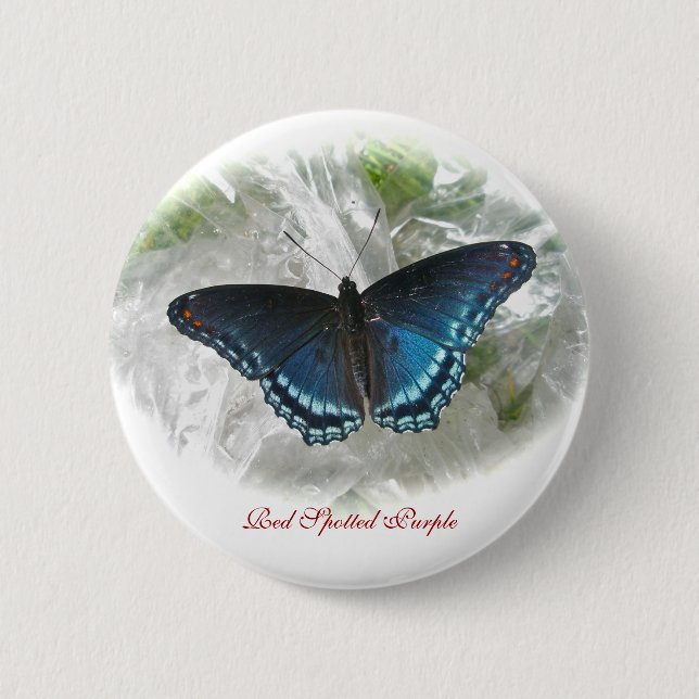 Bóton Redondo 5.08cm Red Spotted Purple Butterfly Button Badge (Frente)