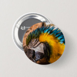 Bóton Redondo 5.08cm Retrato de arara azul e amarela