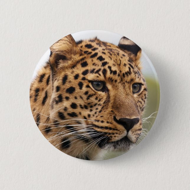 Bóton Redondo 5.08cm Retrato de Leopardo (Frente)