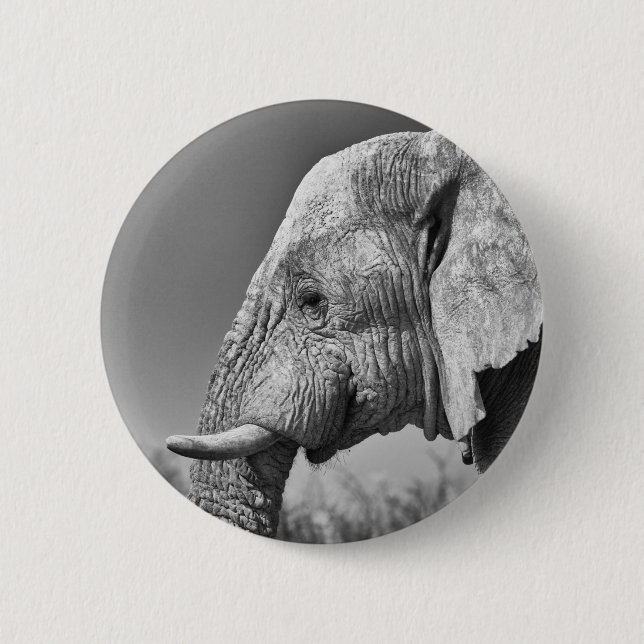 Bóton Redondo 5.08cm Retrato elefante (Frente)