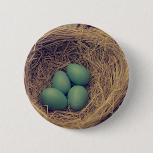 Bóton Redondo 5.08cm Robin Nest e Ovos