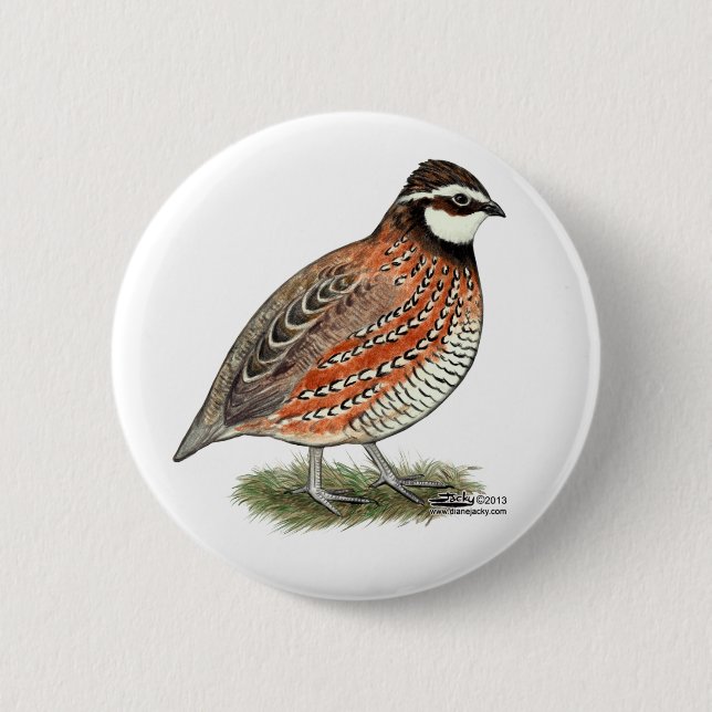 Bóton Redondo 5.08cm Rooster Bobwhite Quail (Frente)