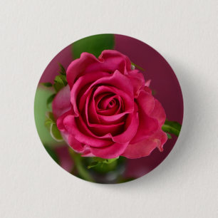 Bóton Redondo 5.08cm Rosa