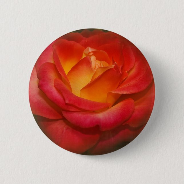 Bóton Redondo 5.08cm Rosa de chamamento no pergaminho (Frente)