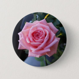 Bóton Redondo 5.08cm Rosa rosa cheia