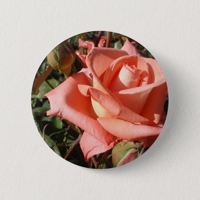 Bóton Redondo 5.08cm Rosa Rosa Peachada (Frente)