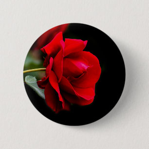 Bóton Redondo 5.08cm Rosa vermelha