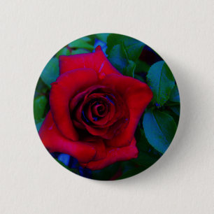 Bóton Redondo 5.08cm Rosas vermelhas com tons azuis