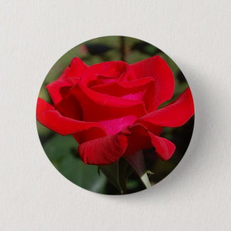 Bóton Redondo 5.08cm Rose03