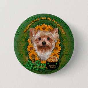 Bóton Redondo 5.08cm Rua Patricks - pote de ouro - yorkshire terrier