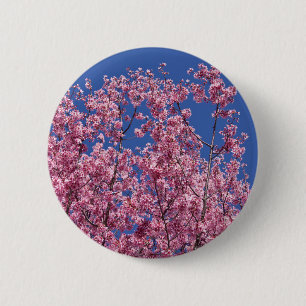 Bóton Redondo 5.08cm Sakura Cherry Blossoms No Azul
