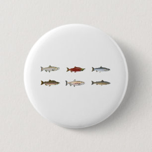 Bóton Redondo 5.08cm Salmões selvagens