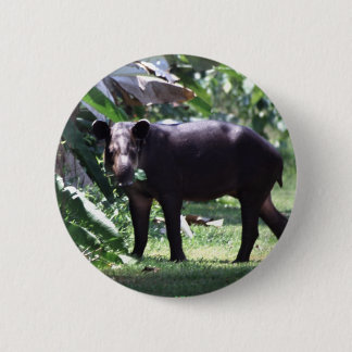 Bóton Redondo 5.08cm salvar o Tapir