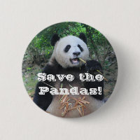Salve os Pandas Gigantes