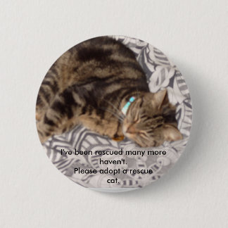 Bóton Redondo 5.08cm Salve por favor um gato