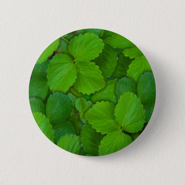 Bóton Redondo 5.08cm Santo Basil Tulsi Green Mint Folhas (Frente)