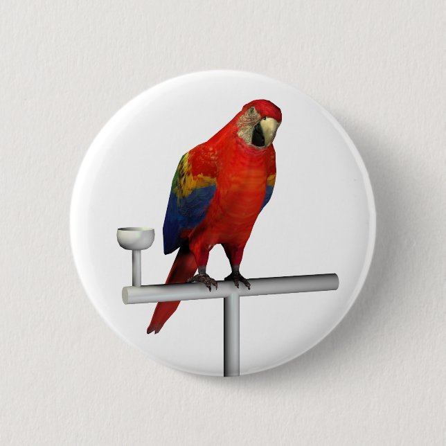 Bóton Redondo 5.08cm Scarlet Macaw (Frente)